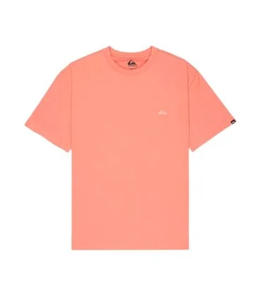 Quiksilver SALT WATER