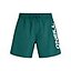 Pantalones y shorts