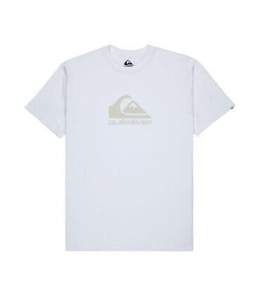 Quiksilver EV COMP LOGO